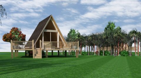 Maison en bois de style chalet avec terrasse, entourée d'arbres et de verdure.